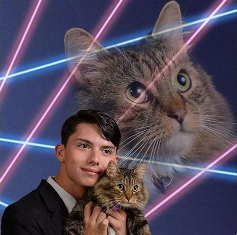 Laser Cats Blaze