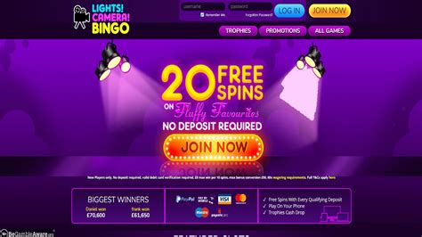 Lights Camera Bingo Casino Login