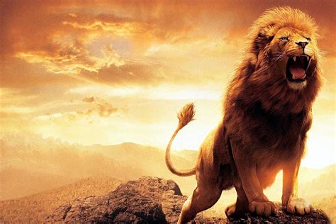 Lion S Roar Bwin