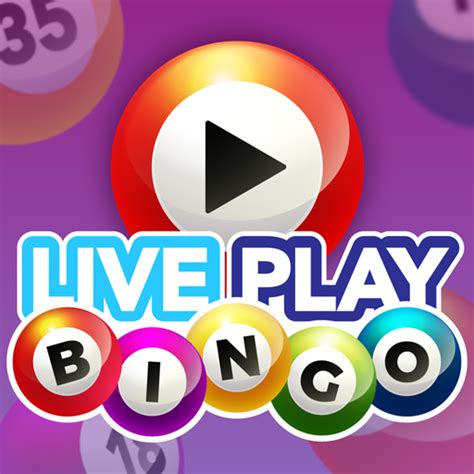 Live Bingo Casino Login
