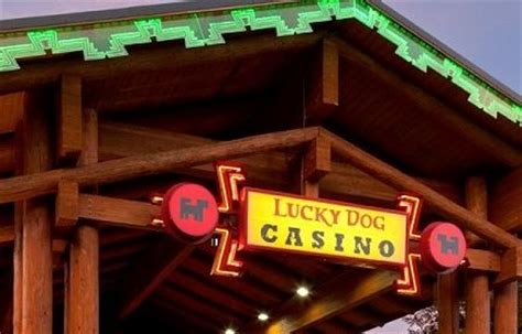Lucky Dog Casino Olympia Wa