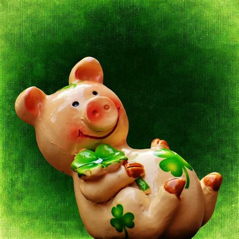 Lucky Pigs Bet365