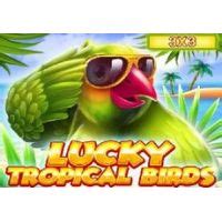 Lucky Tropical Birds 3x3 Bodog