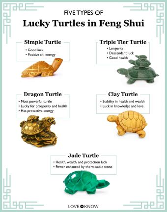 Lucky Turtle Review 2024