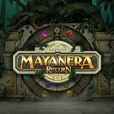Mayanera Return 1xbet