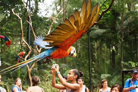 Monte Casino Parque Das Aves Taxa De Inscricao