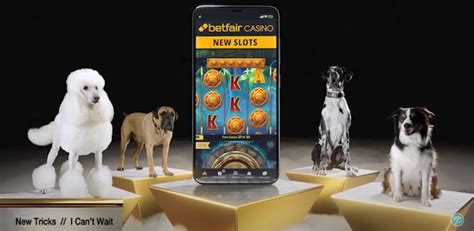 Mr Doggy Betfair