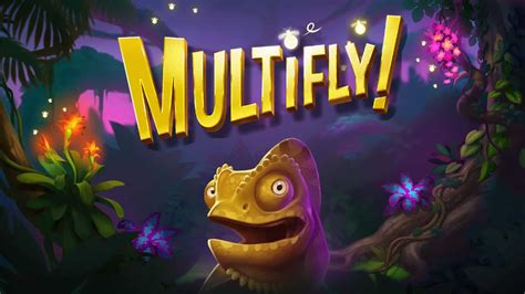 Multifly Betfair