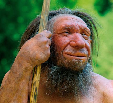 Neanderthals Betsul