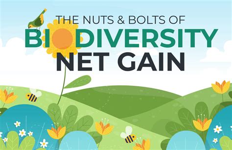 Net Gains Review 2024