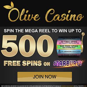 Olive Casino Apostas