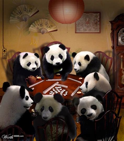 Panda Mostrar Poker Face