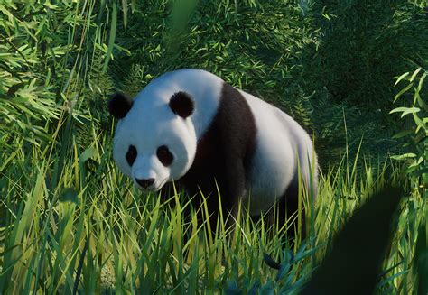 Panda Planet Brabet