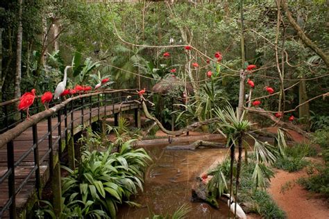 Parque Das Aves De Monte Cassino