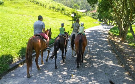 Passeio De Poquer Badejo Fazenda