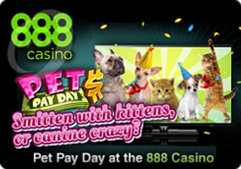 Pet Shop Money 888 Casino