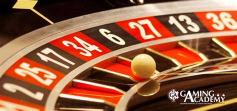 Pomba Nasce La Roulette