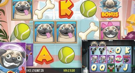 Pug Life 888 Casino