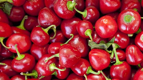 Red Hot Cherry Bwin