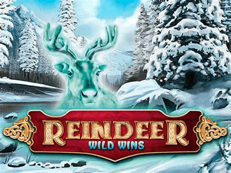 Reindeer Wild Wins Betano