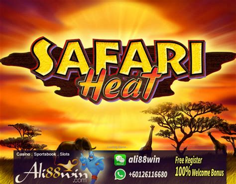 Safari Heat Brabet