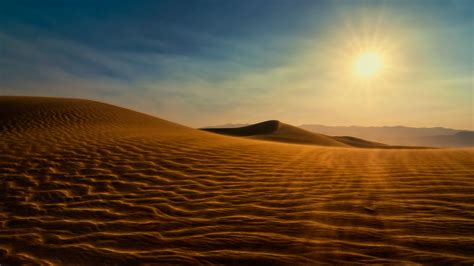 Sahara Sun Bet365