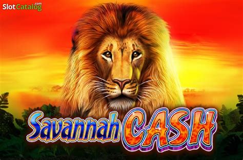 Savannah Cash Novibet