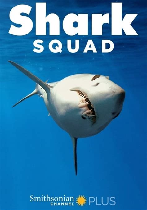 Shark Squad Betway