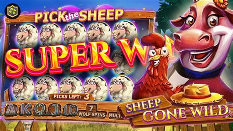 Sheep Gone Wild Bwin