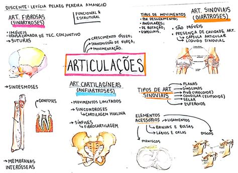 Slot De Articulacoes