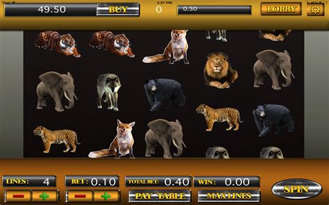 Slots Animal Casino Aplicacao