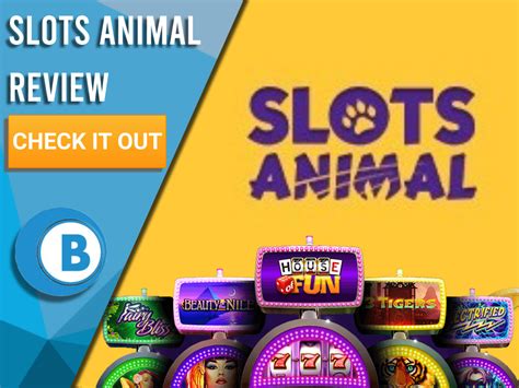 Slots Animal Casino Review