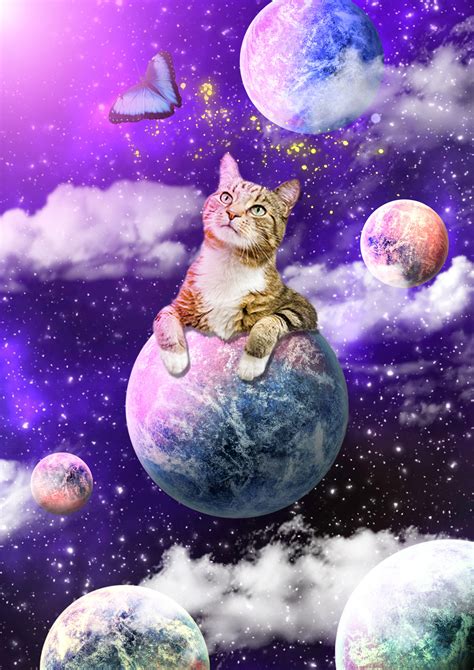 Space Cat Novibet