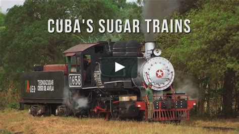Sugar Train Bwin