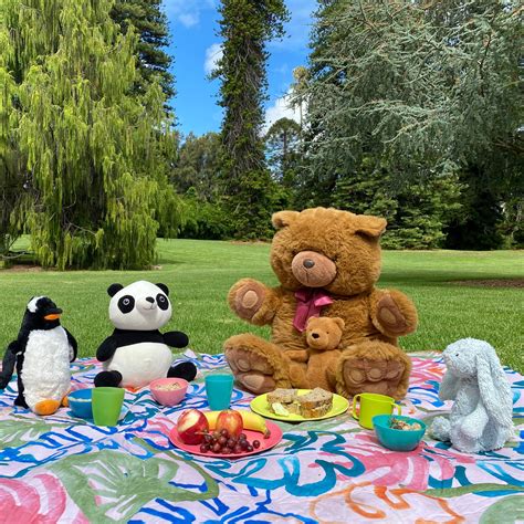 Teddy Bears Picnic Betano