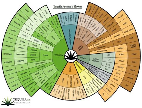 Tequila Wheel Review 2024