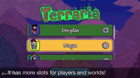 Terraria Ios Slots