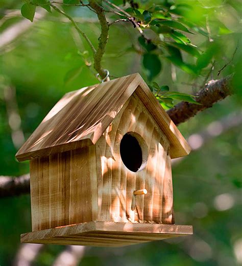 The Bird House Novibet