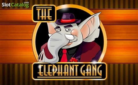 The Elephant Gang Review 2024