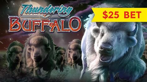 Thundering Buffalo Betfair