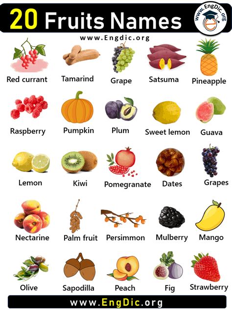 Twenty Fruits Brabet