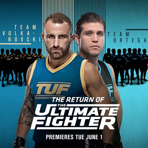 Ultimate Fighter Bet365