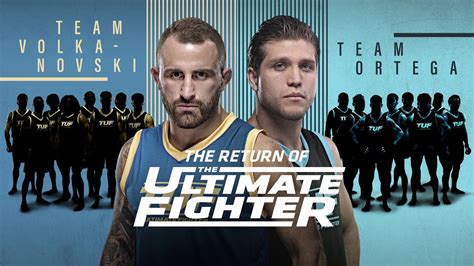 Ultimate Fighter Netbet