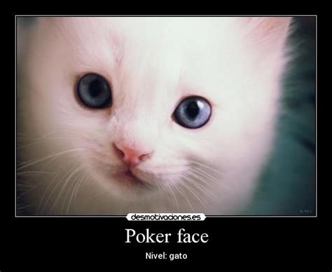 Uni Gato Poker Face