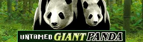 Untamed Giant Panda Review 2024
