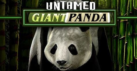 Untamed Panda Gigante Slot Livre