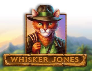 Whisker Jones 1xbet