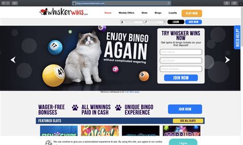 Whisker Wins Casino Guatemala