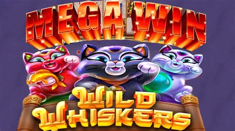 Whisker Wins Casino Panama