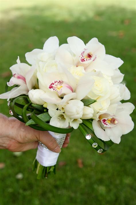White Orchid Brabet